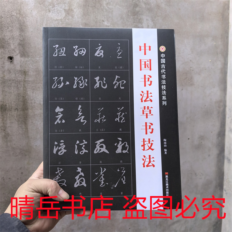 中国书法草书技法练字帖字帖练字初学者行草毛笔字王羲之入门系列