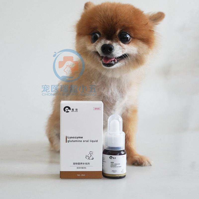宠物猫咪狗狗谷氨酰胺健康肠胃成犬幼犬猫咪消化益生菌液态口服