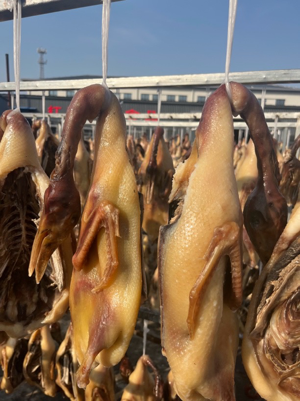 安徽定远二龙回卤稻田麻鸭不吃饲料下单送黄豆