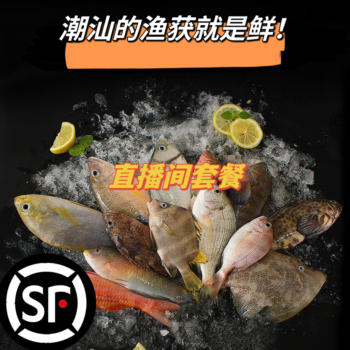 【自搭套餐】惠来神泉港海杂鱼直播自搭套餐 原产地现统 发顺丰冷链