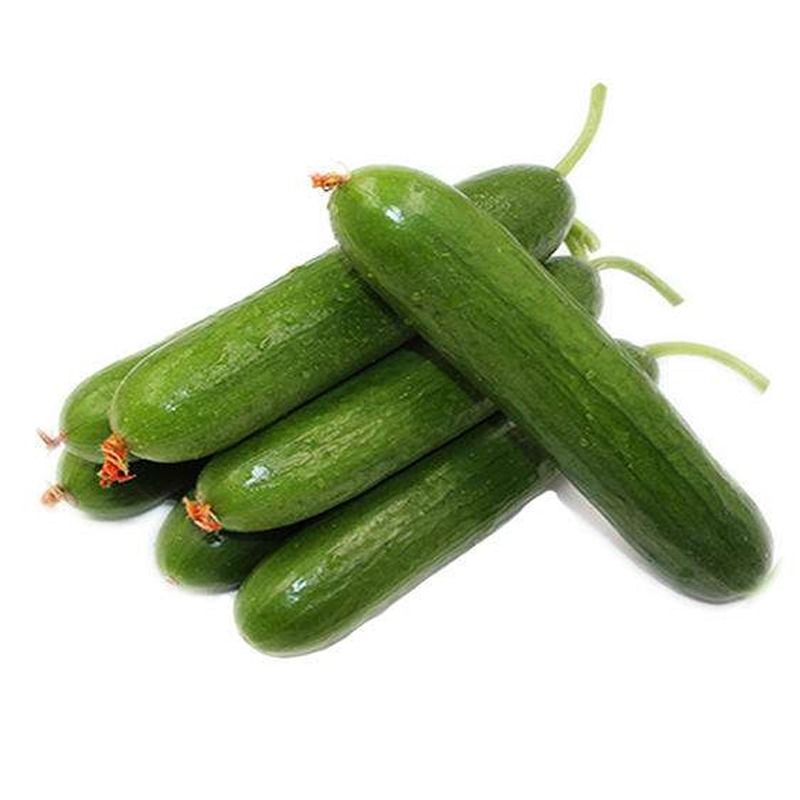 乳黄瓜 约400g-500g