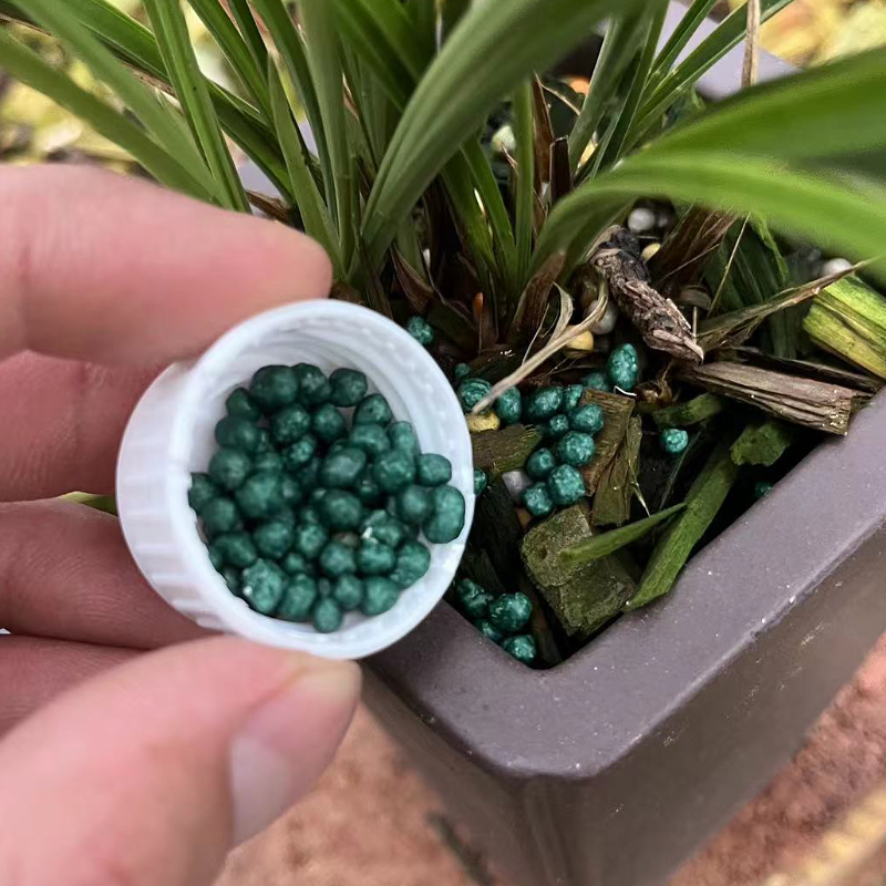 兰花绿植通用基础缓释肥 花信氮磷钾 均衡控释肥 兰草 肥料不烧根