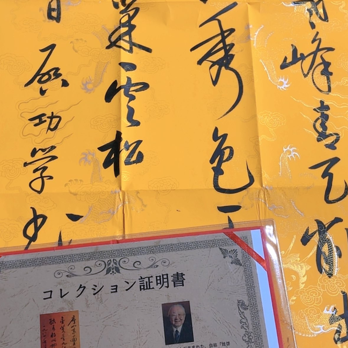 【闪购商品】红贵宝
