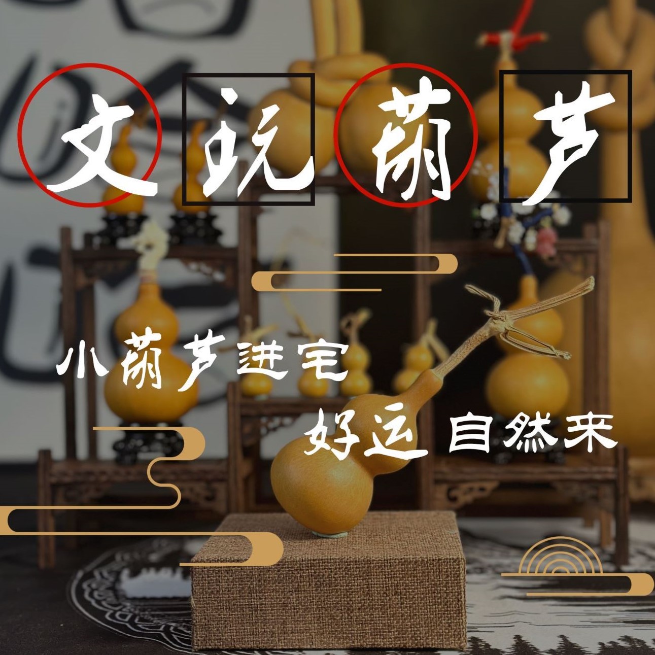 【直播间链接】小葫芦一物一拍，下单请与主播沟通