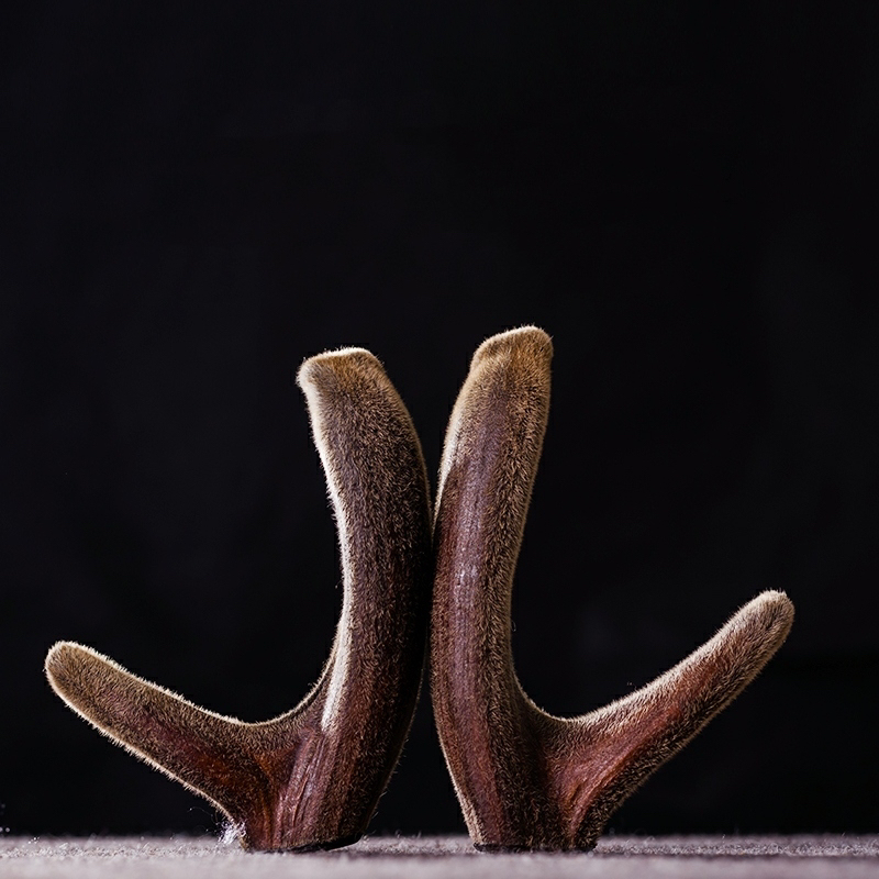 【祺航鹿业】干鹿茸整支梅花鹿 自家鹿茸加工厂 50克~300克任选