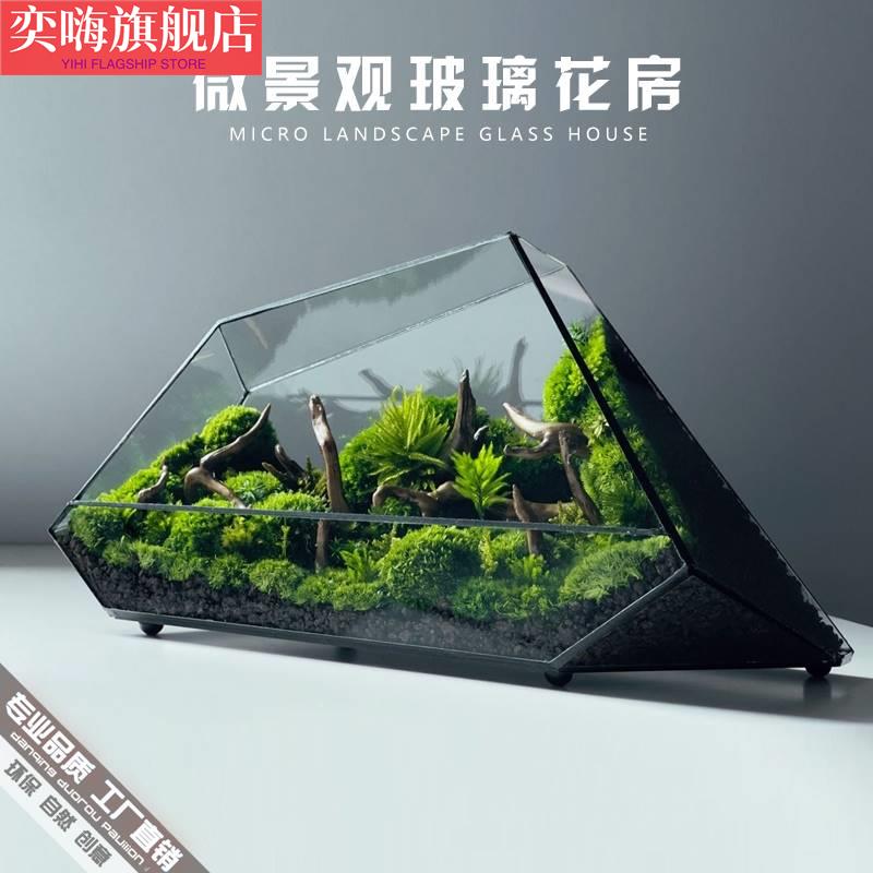 苔藓微景观玻璃生态瓶闷养桌面迷你小盆景造景蒲面青苔雨林水陆缸