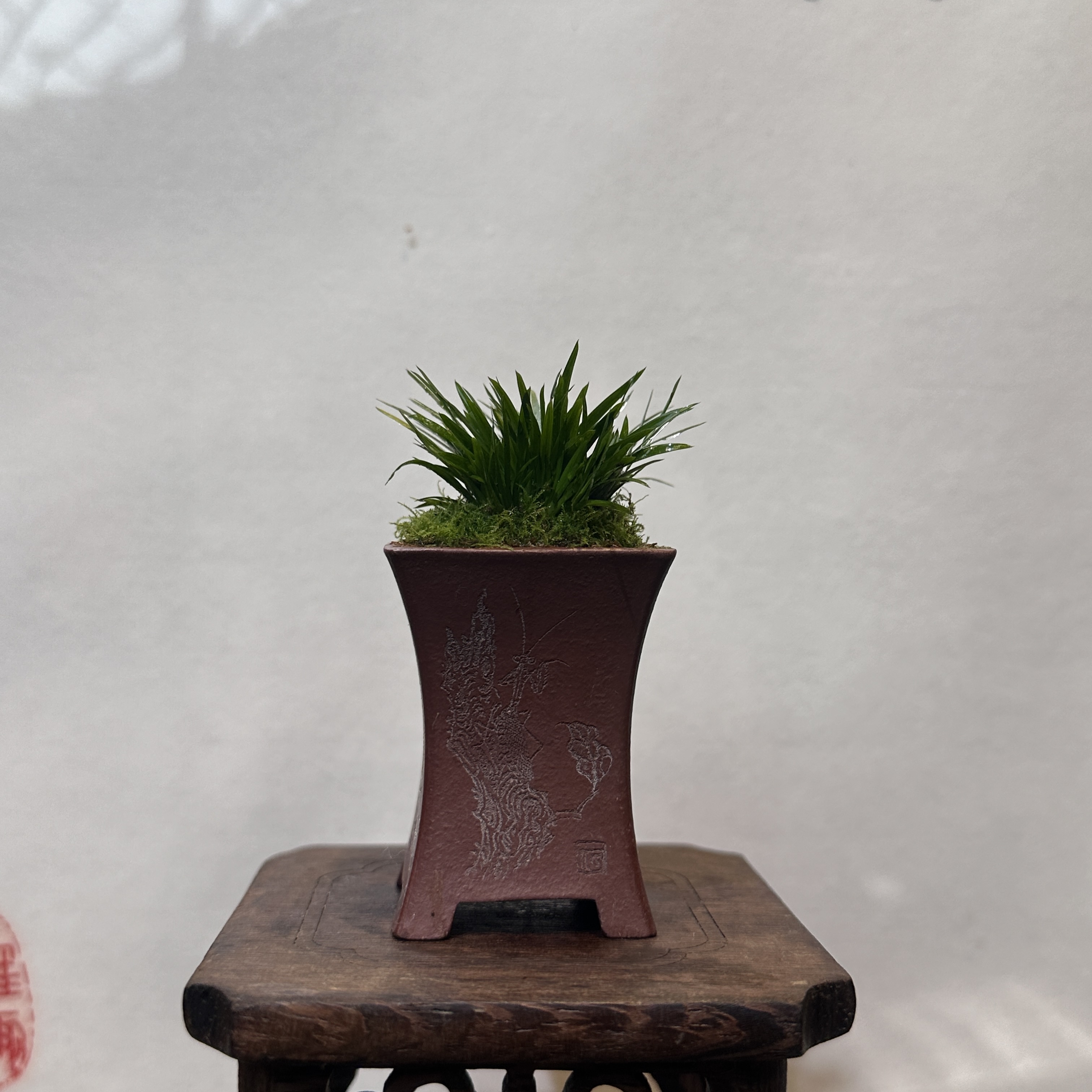 【束腰款】纯手工紫砂盆茶室办公居家桌面精美盆景