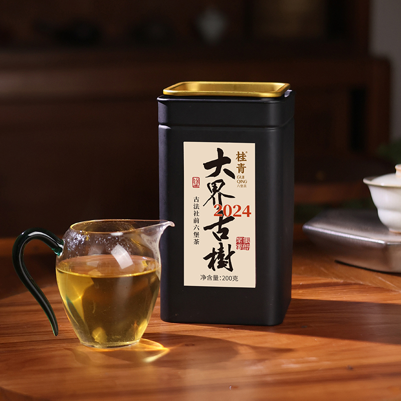 大界古树2024六堡茶桂青生茶广西梧州黑茶小师姐评茶