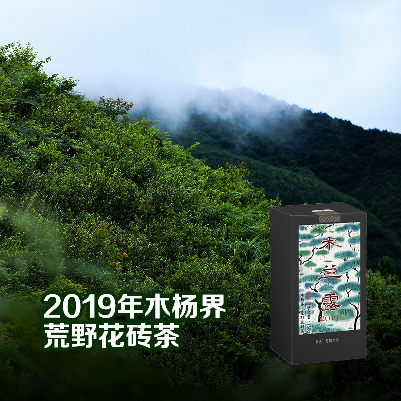 【黑茶上新】木兰露-2019木杨界荒野花砖茶块150g 安化黑茶