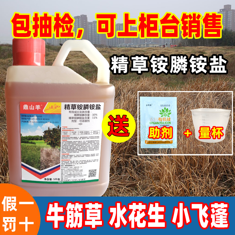 精草铵膦铵盐除草剂专业除草控制返青工厂直销批发现货速发高浓度