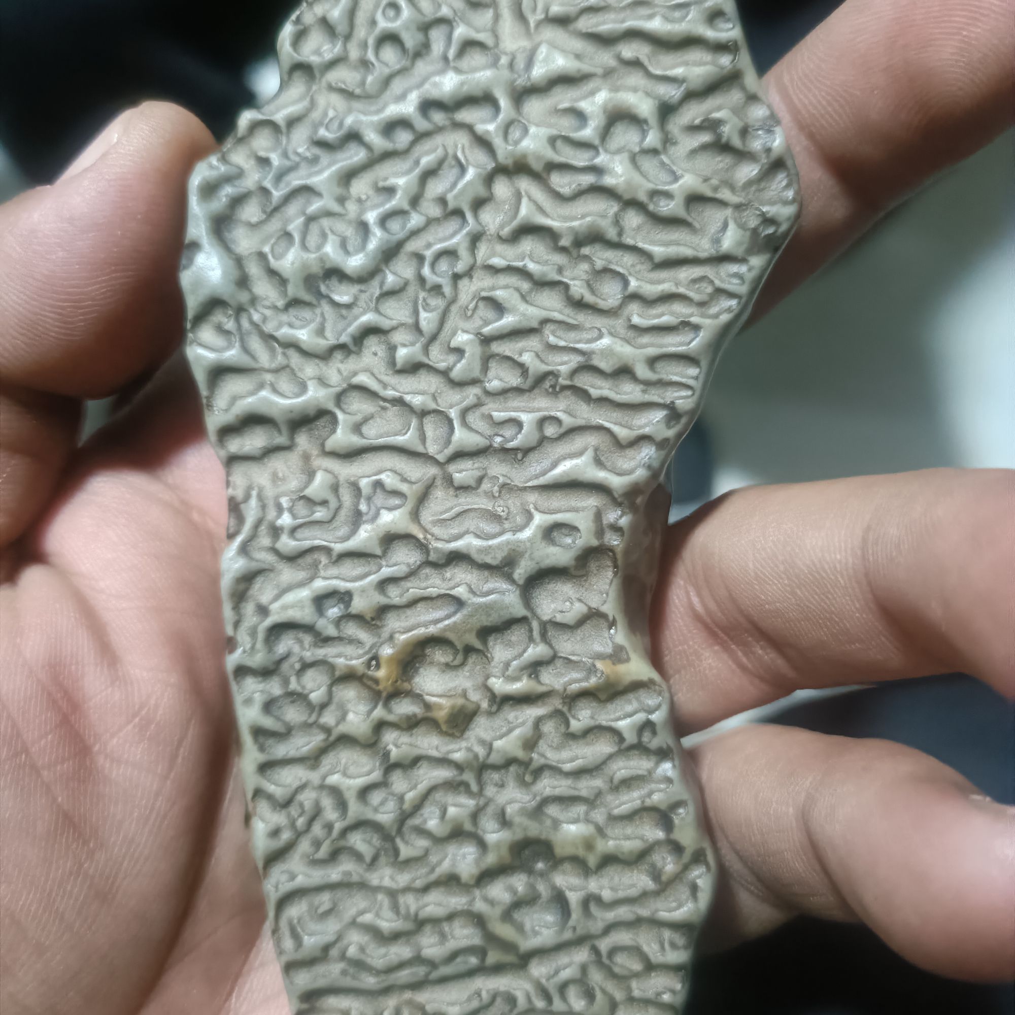 新疆奇石，盆景石
