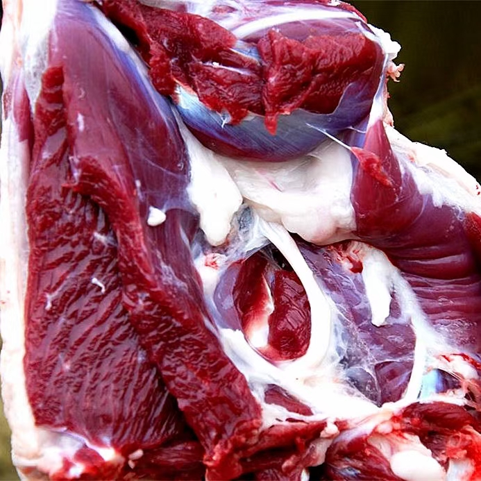 纯肉+排骨（去油、淋巴）【包邮】