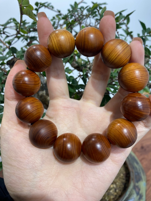 2.0崖柏全玉化精品