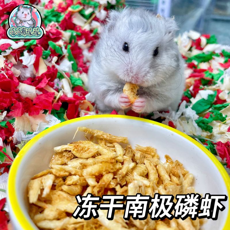 泡泡有球球 无盐南极磷虾冻干零添加美毛高蛋白补钙互动零食仓鼠