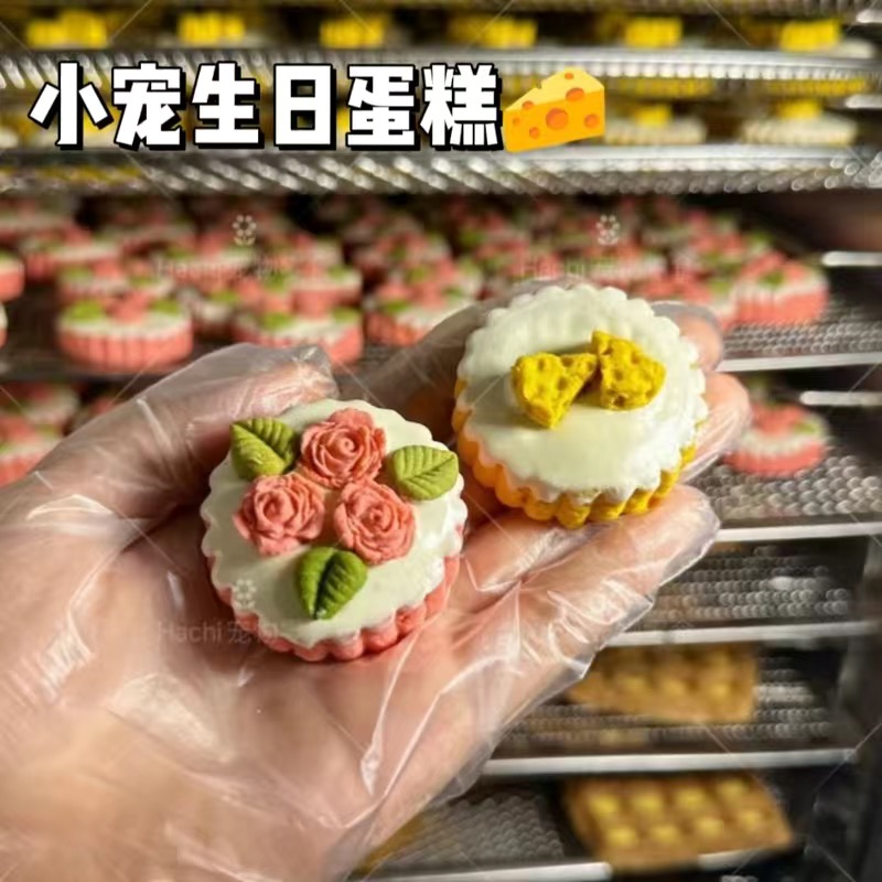 泡泡有球球 淋面生日蛋糕磨牙仓鼠金丝熊仪式感磨牙饼干零食互动