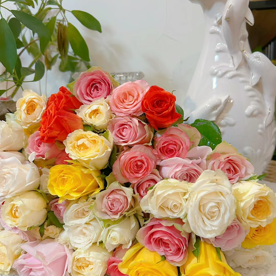 【多头玫瑰猜猜猜】20枝多头A级玫瑰 2品种 鲜切花儿