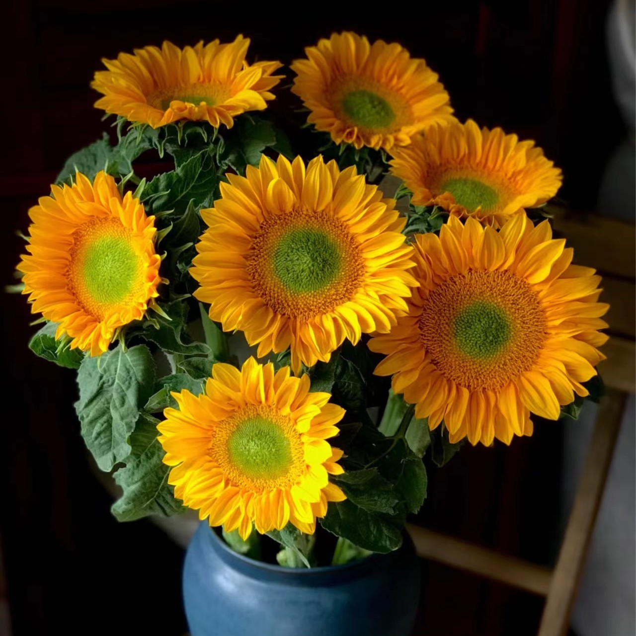 【绿心向日葵】A级小太阳 玖枝花优选 家庭瓶插水养切花儿