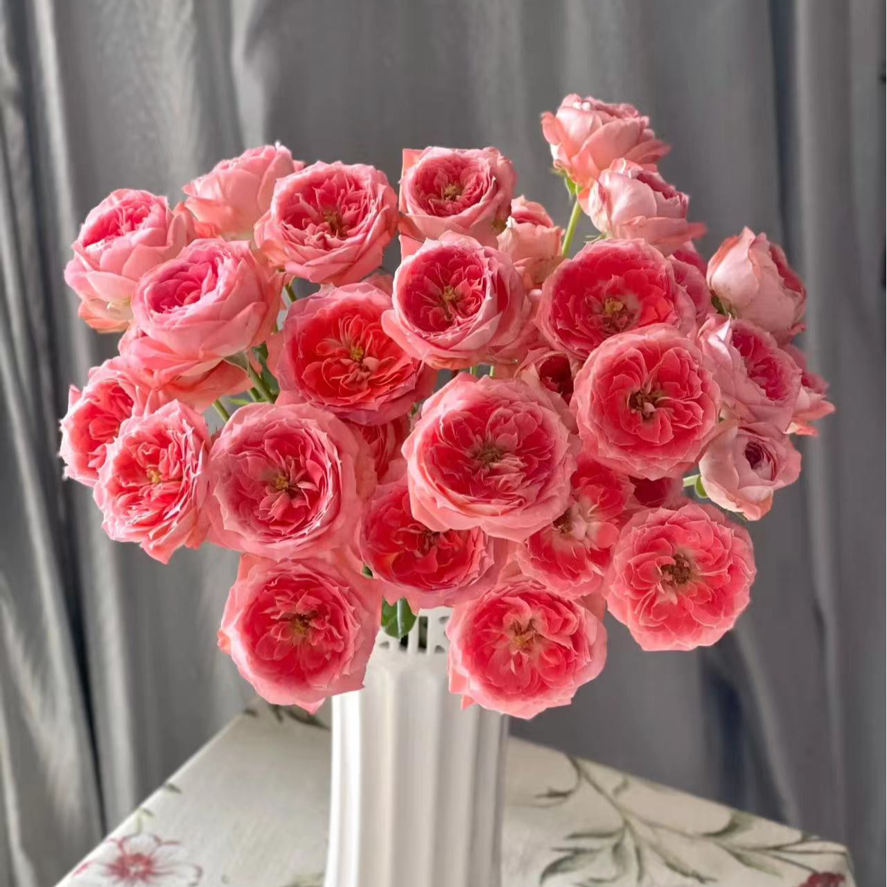 【桃子酒】稀有单头玫瑰（杆子短） 玖枝花优选 瓶插水养鲜切花儿