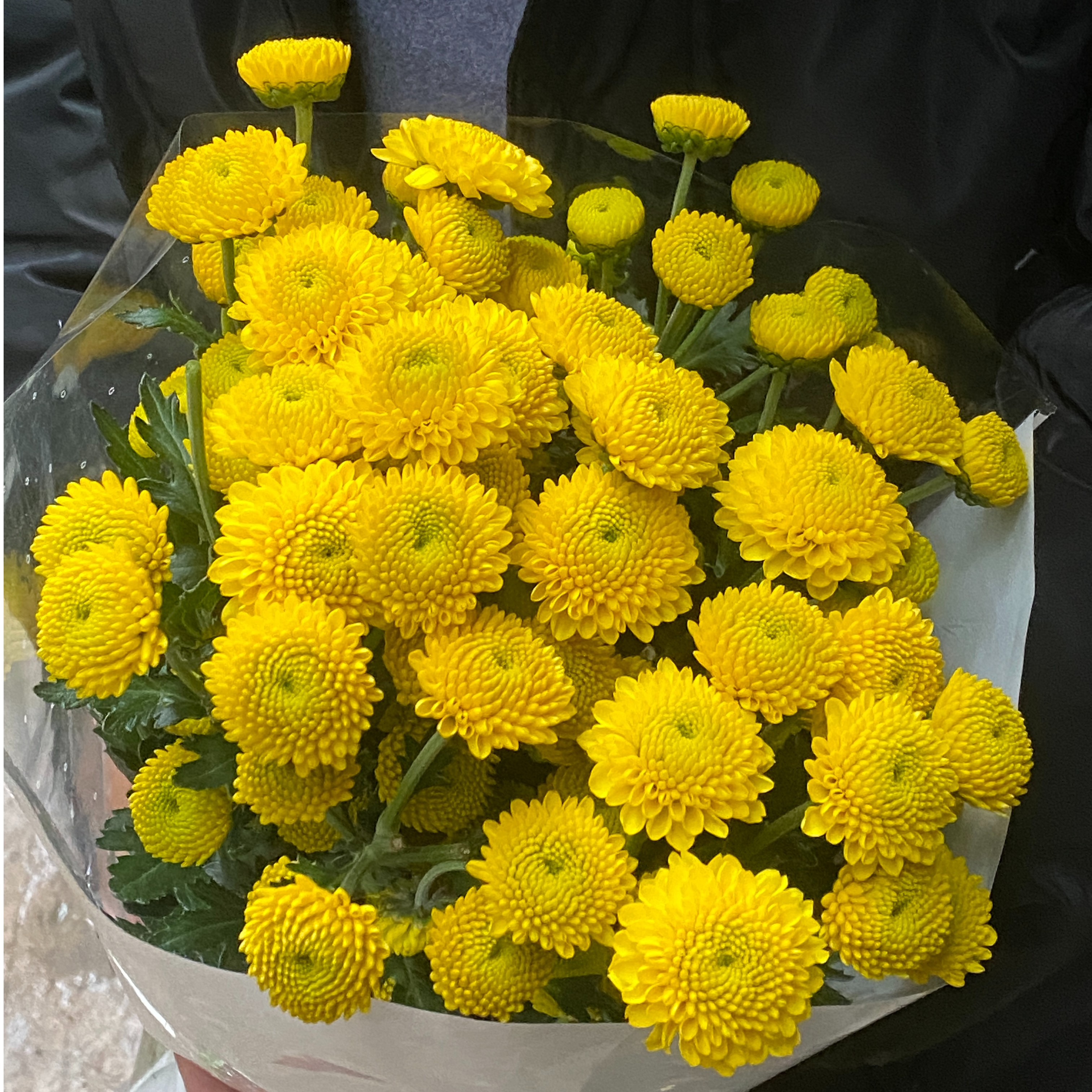 柠檬黄（卡库）小菊 10枝  全店任意5单一个运费