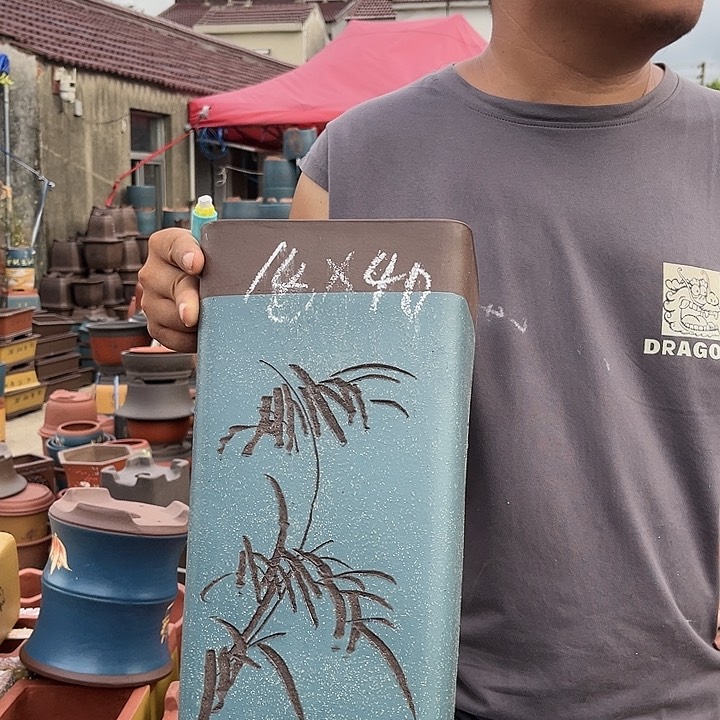 紫砂20CM（含）-50CM（不含）