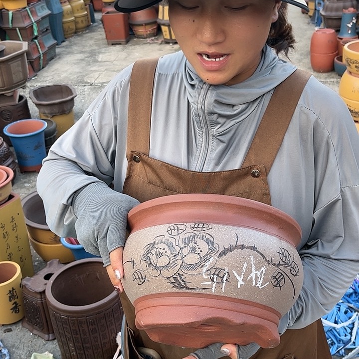 紫砂20CM（含）-50CM（不含）