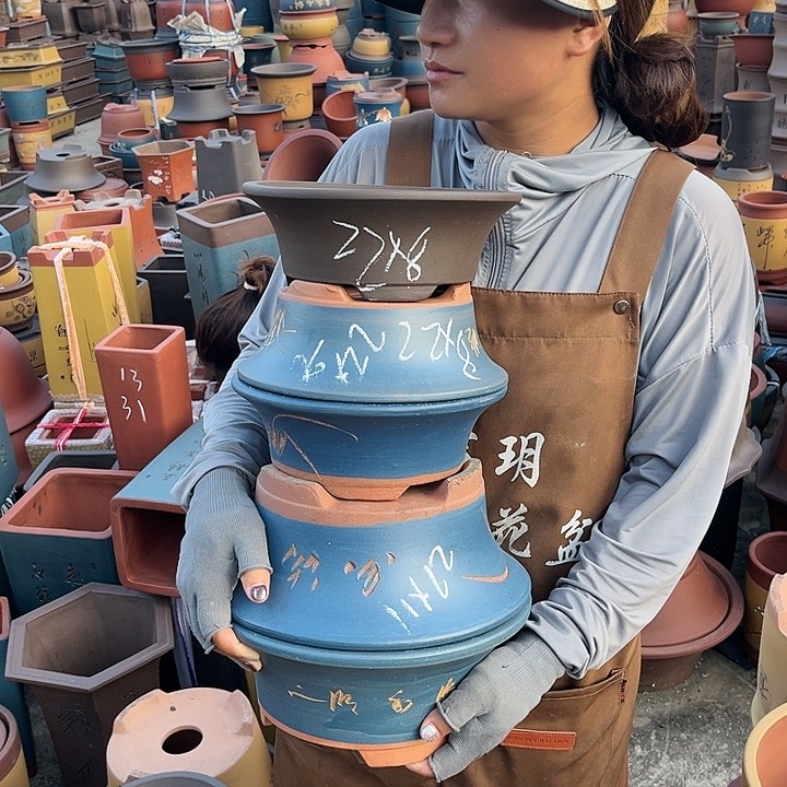 紫砂20CM（含）-50CM（不含）