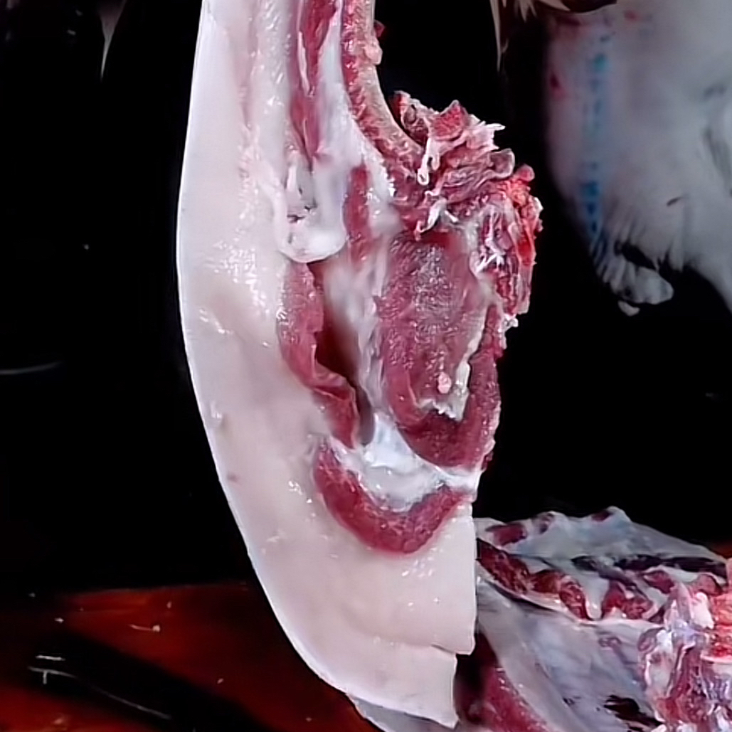 【五花带排／精五花肉】贵州苗家熟食土猪