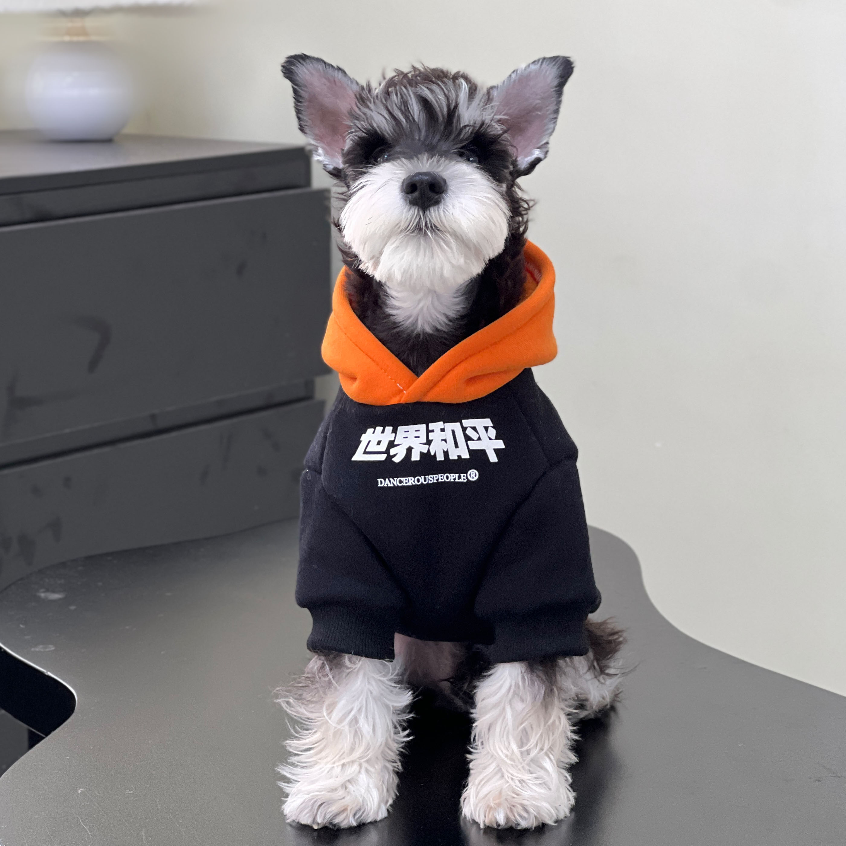 宠物猫狗衣服 秋冬加绒纯棉潮牌世界和平保暖卫衣 中小大型犬卫衣