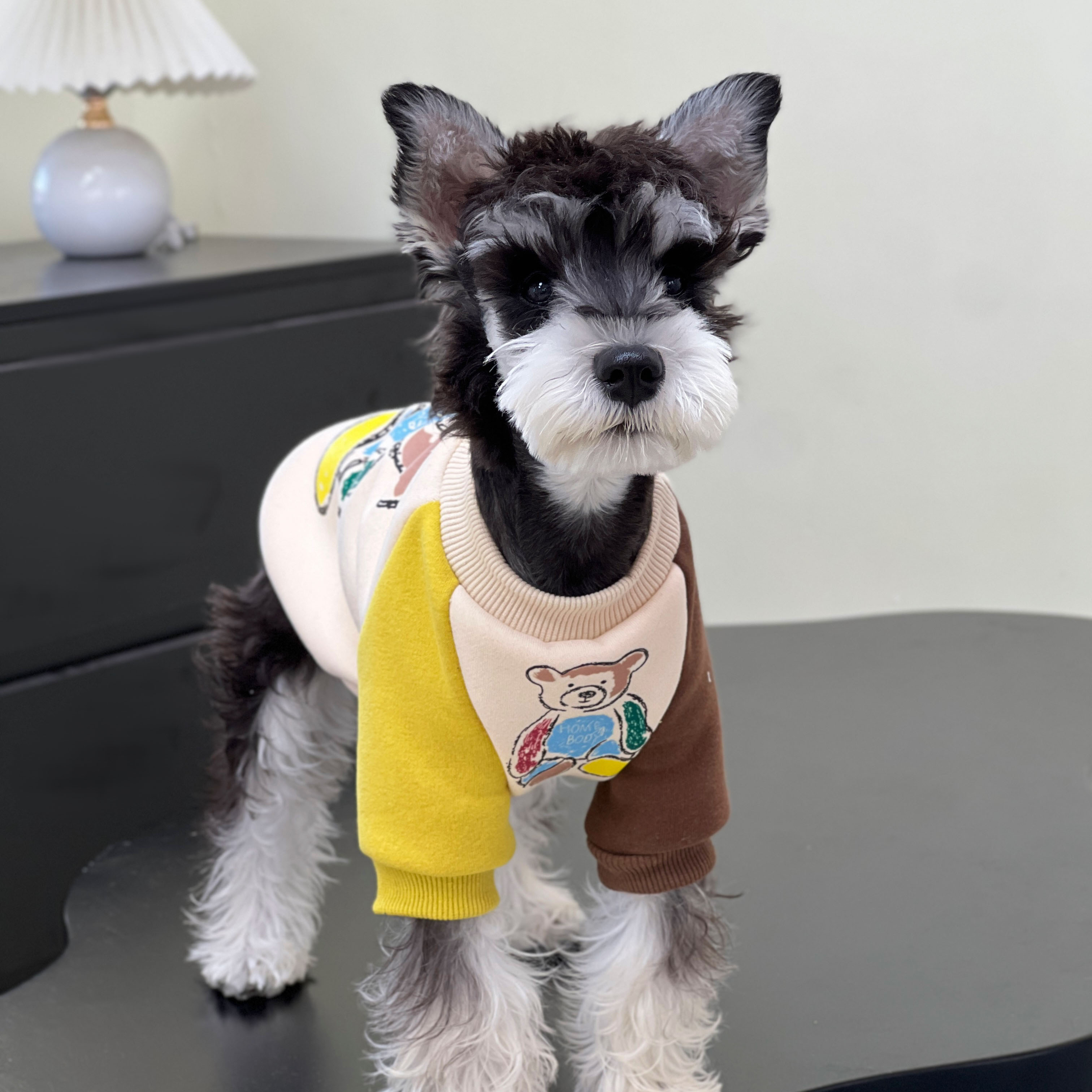 宠物猫狗衣服 秋冬纯棉雪纳瑞泰迪比熊卫衣室内防掉毛 中小大型犬