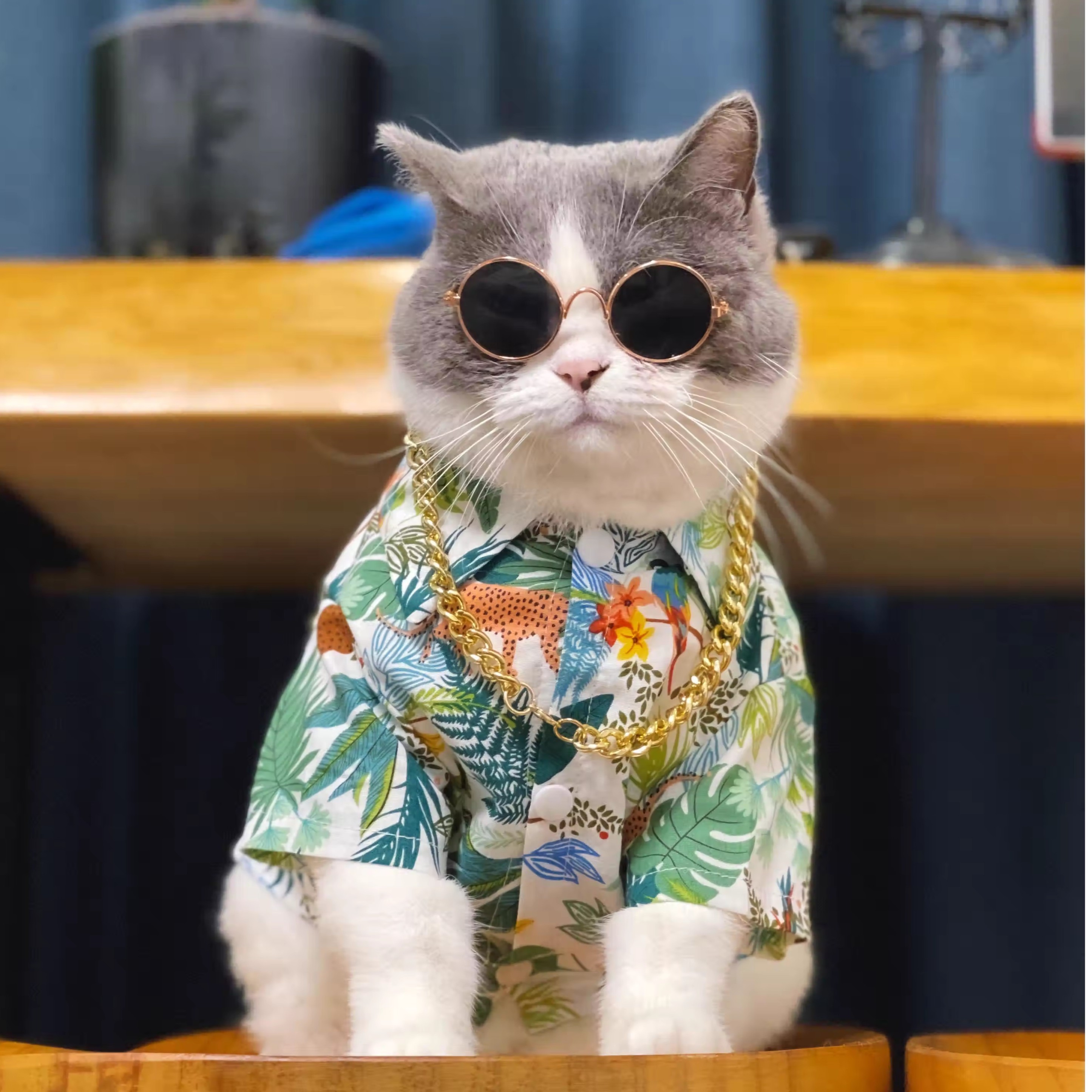 宠物猫咪狗狗衣服 夏季薄款绿树叶衬衫 中小大型犬防掉毛空调服
