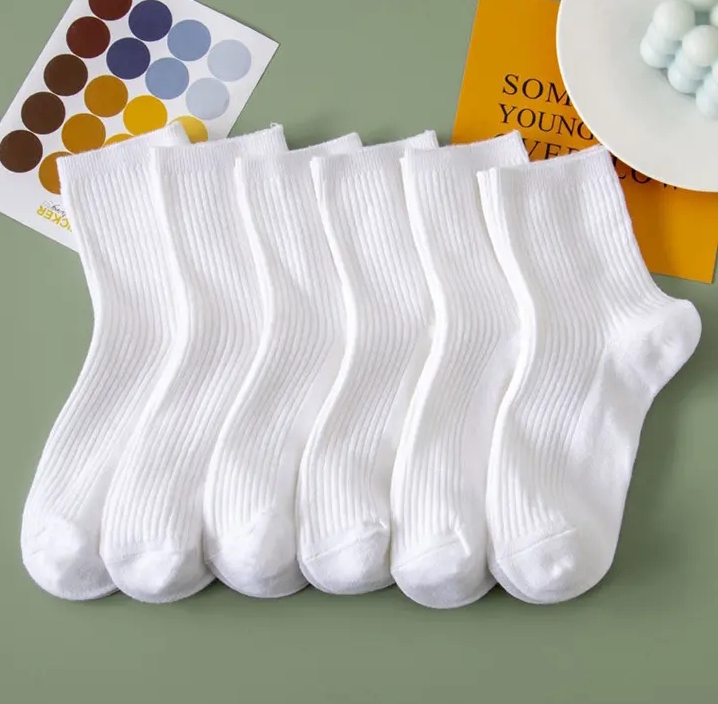 女款纯白色秋冬款双针袜子6双