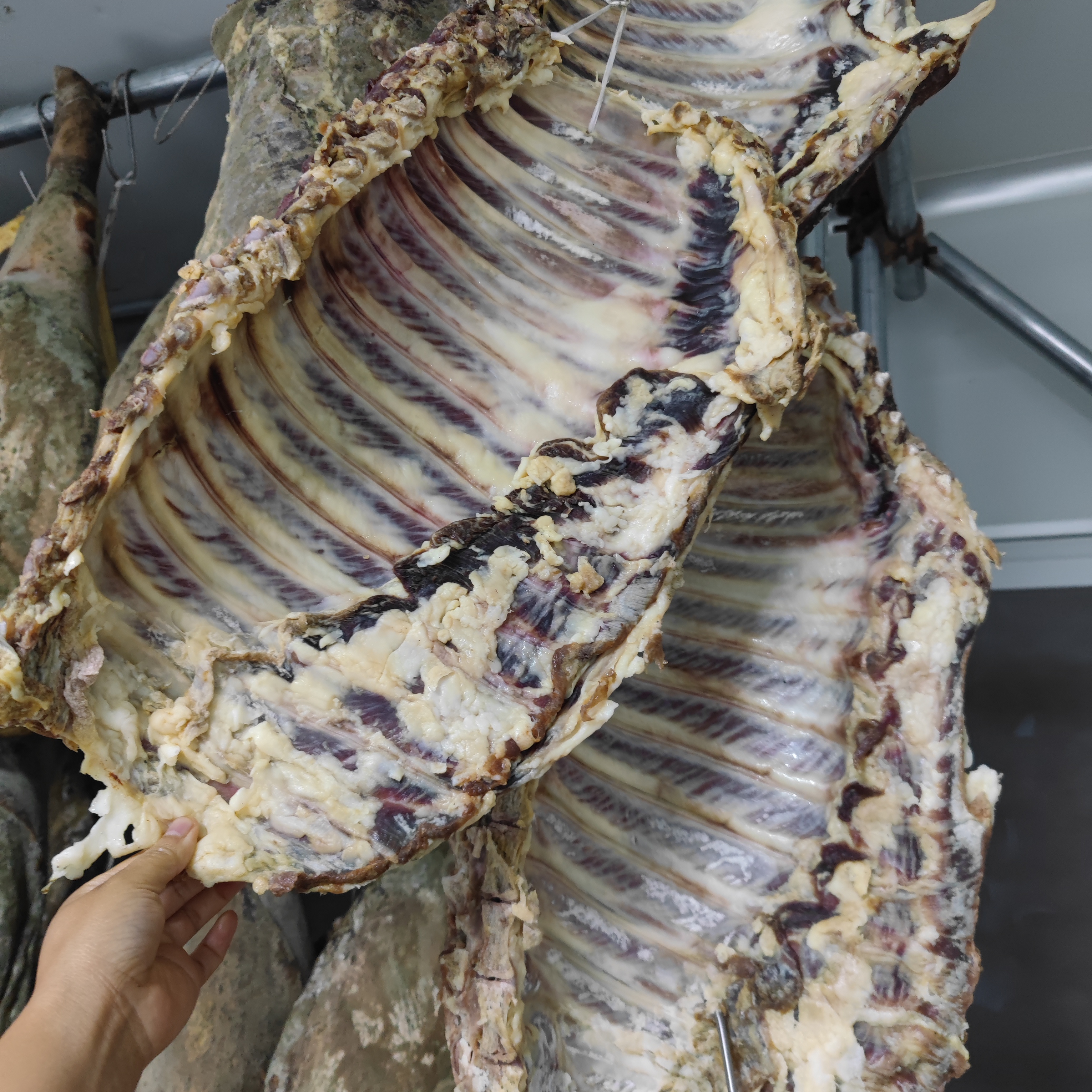 【精选土猪腊排骨全新升级】肉质紧实，干的透才好吃。盒装1000g