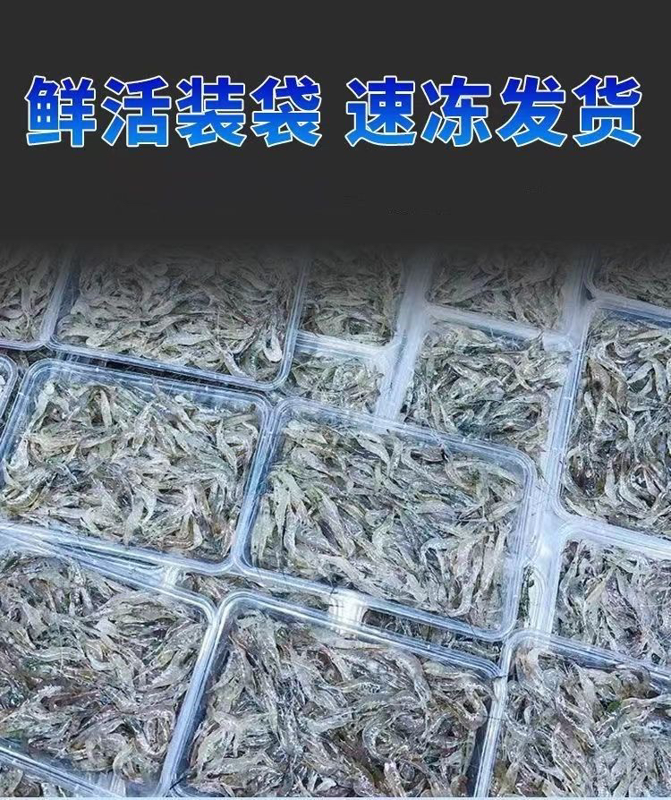 精选去沙小河虾 