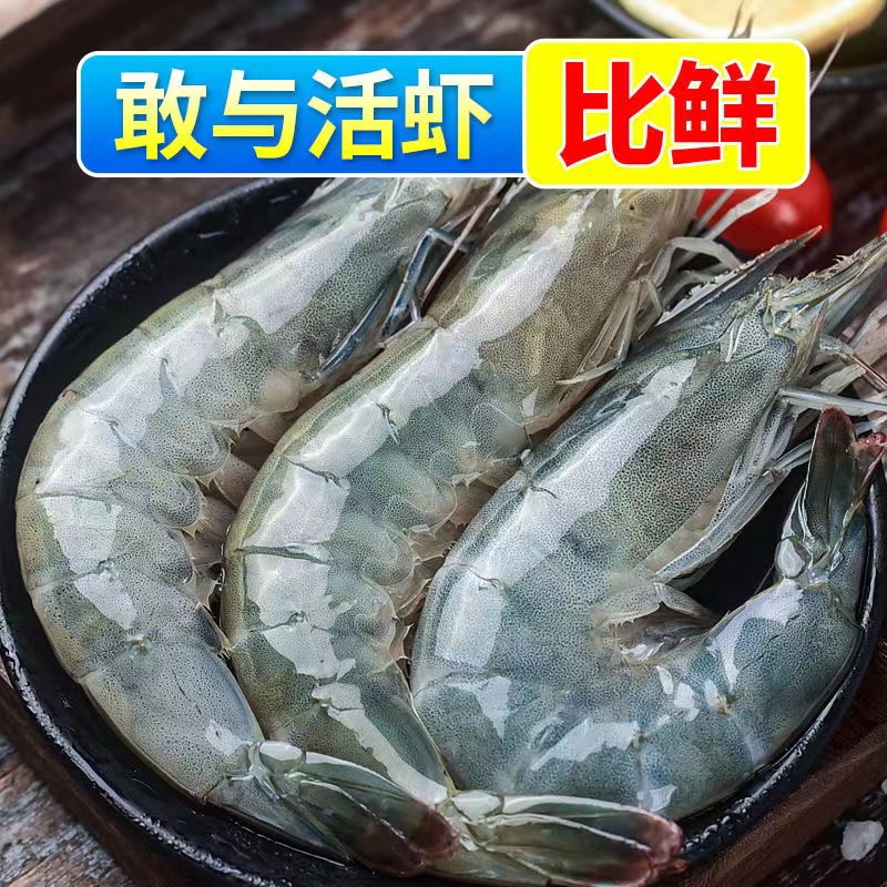 海洋大虾 3040规格 净重1.5公斤海虾青虾新鲜营养鲜嫩食用紧实