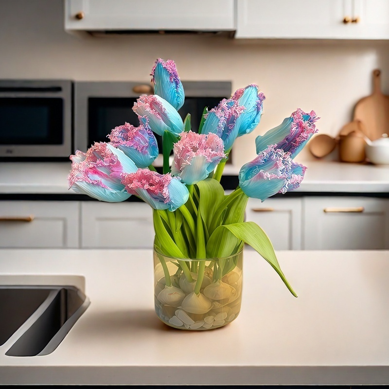 郁金香水培土培好养阳台花荷兰进口水养耐寒【正品对版】大球种球