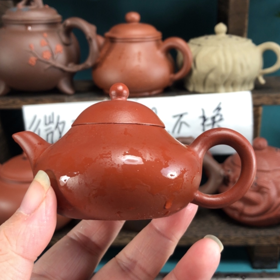 【闪购商品】紫砂茶壶
