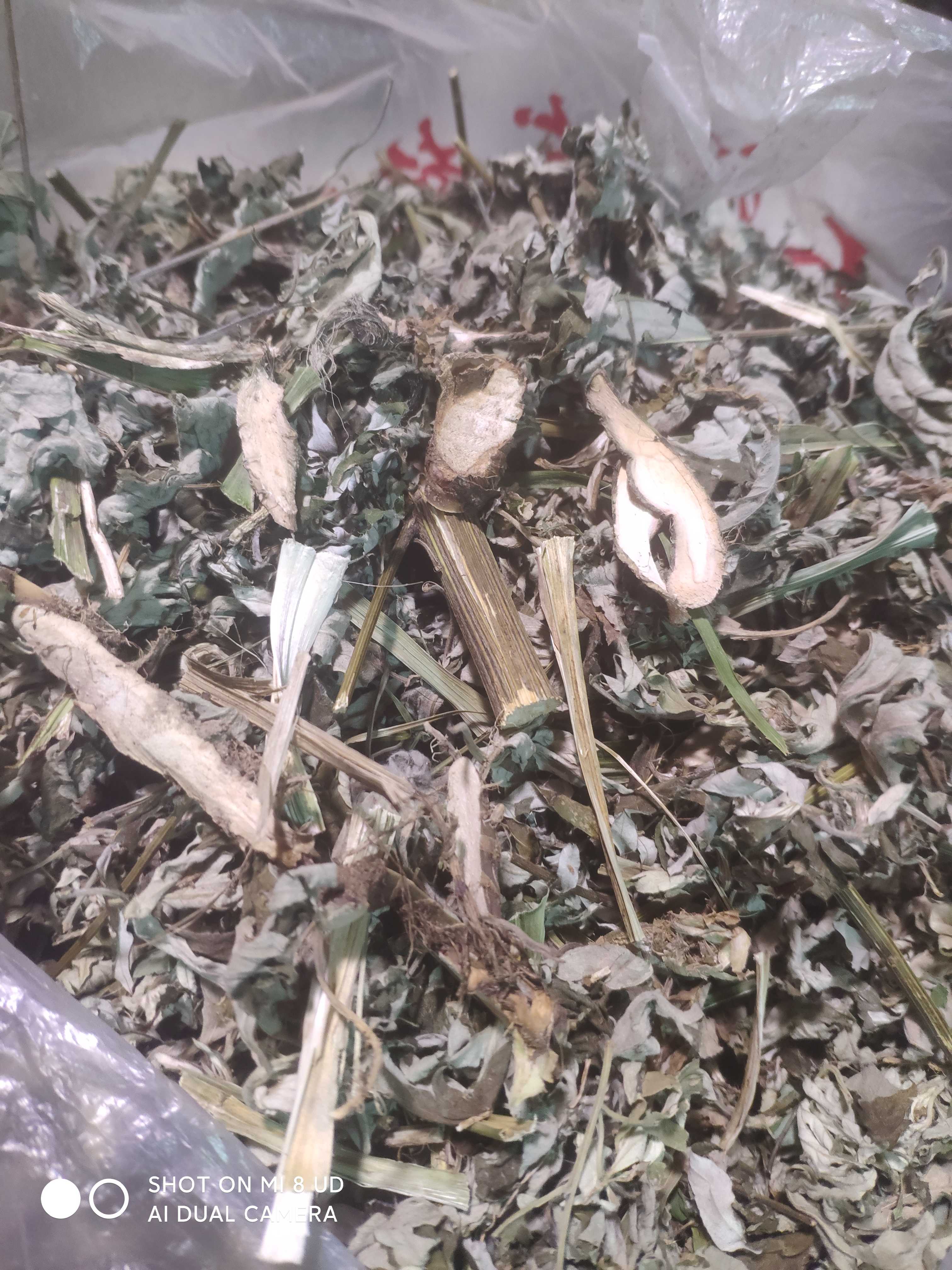 艾草，石昌蒲，槐阴树条，车前草，蒲公英，石莲姜，