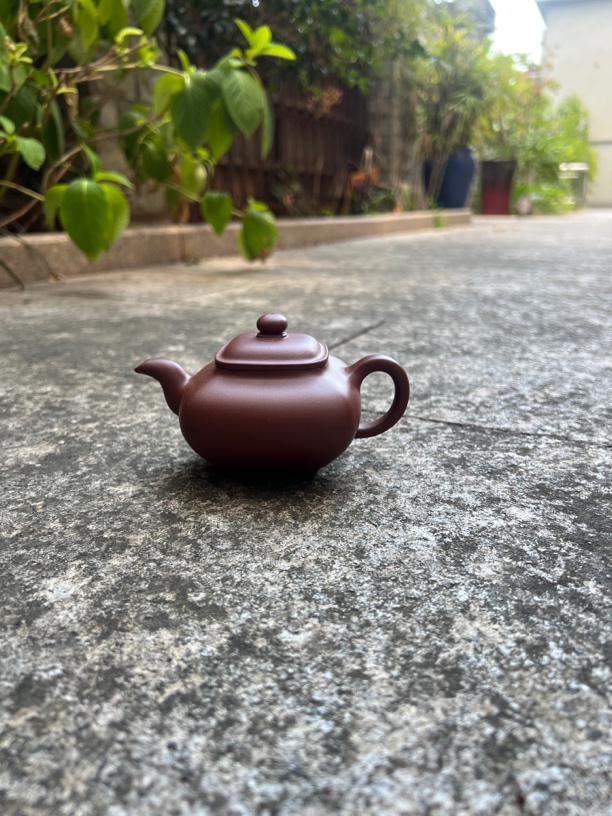 紫砂壶传炉180毫升纯手工全手工手制