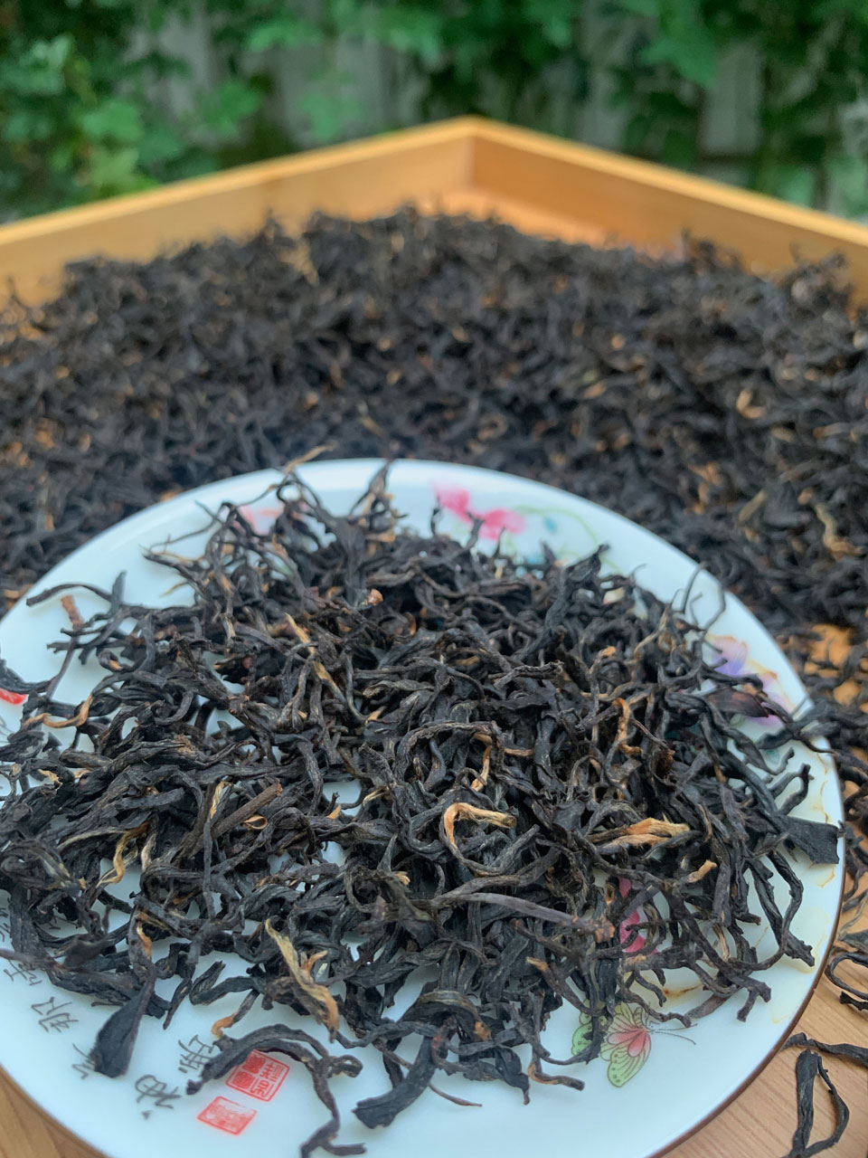 【春美人】头春花香红茶 花香略有熟果的香 香气妖娆且张扬