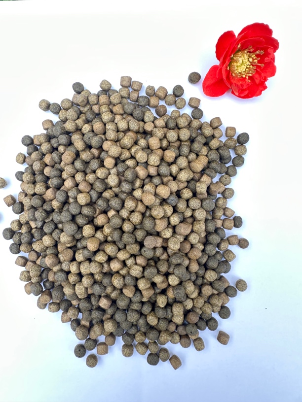 观赏鱼混合饲料锦鲤、蝴蝶鲤专用鱼梁