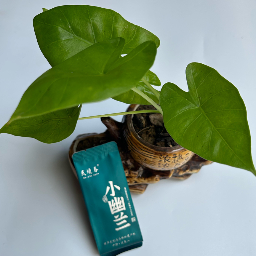 武境春20泡装小幽兰. 茶香浓郁，入口香醇