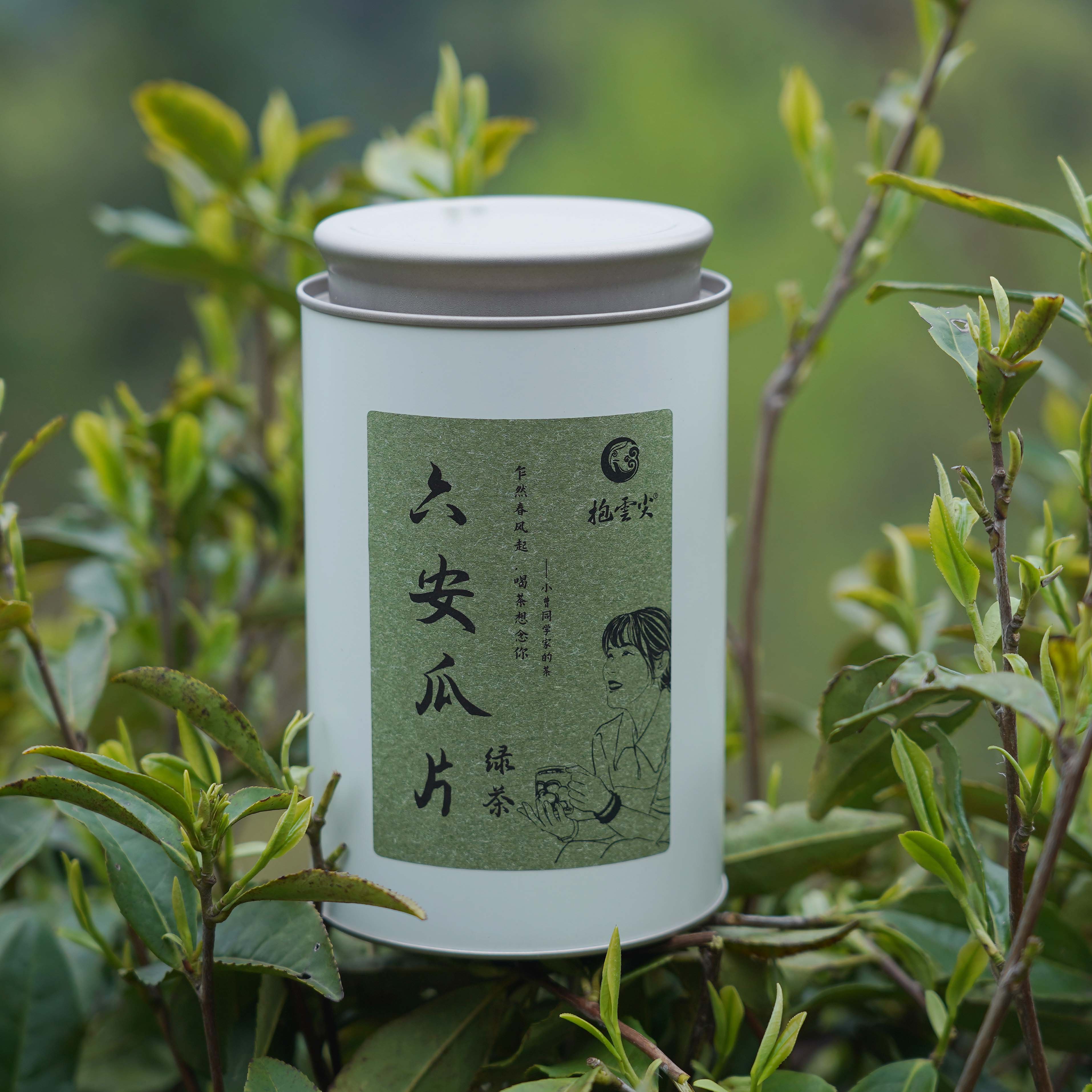 小曹同学家的茶 2025年新茶明前小叶手工瓜片 鲜花岭产区春茶100g