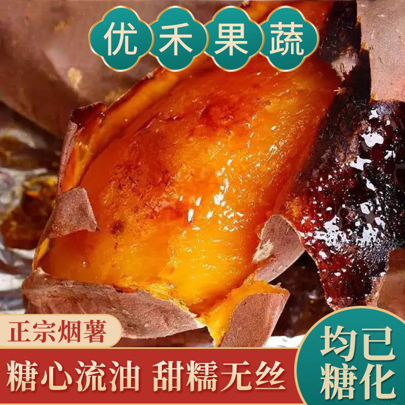 山东烟薯25号 沙土地番薯优质蜜薯皮薄流油蜜甜健康老少皆宜5斤装