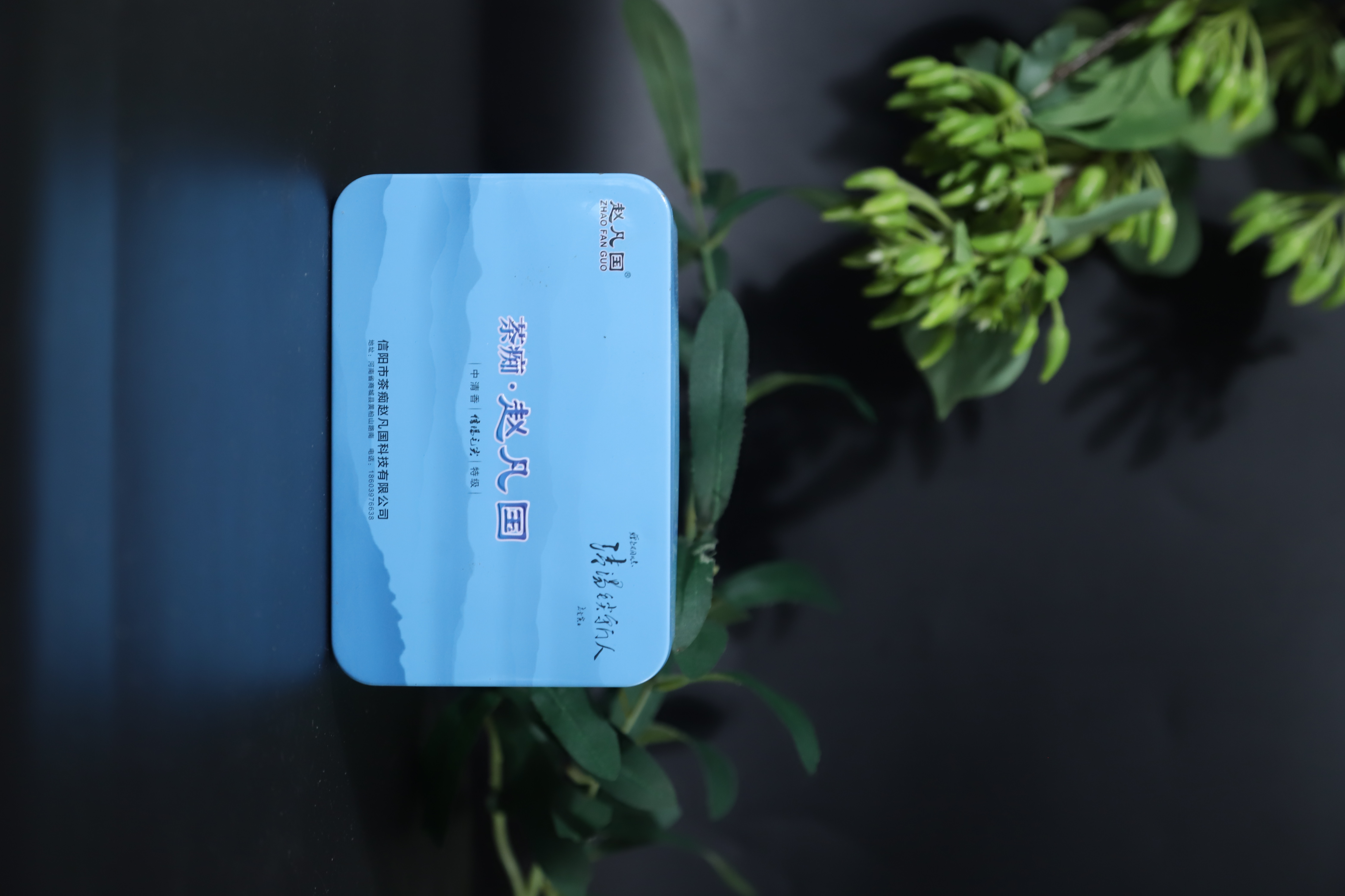 中清香信阳毛尖一盒（10泡）