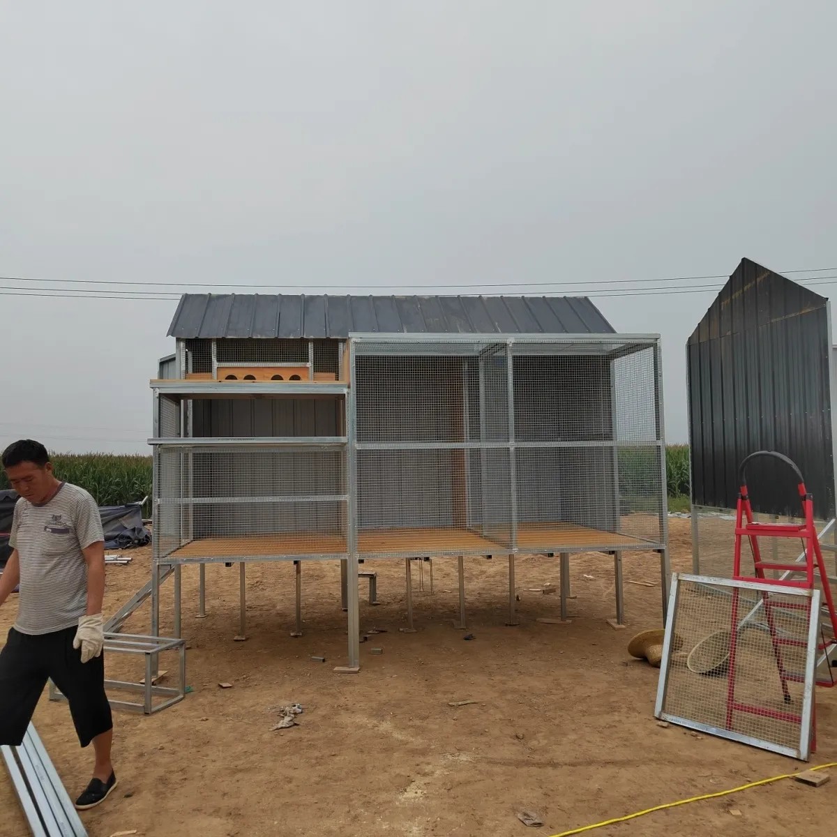 4×2.5米鸽舍4×4方管单板两种一赛地腿80公分主棚深度1.5米晒笼1米