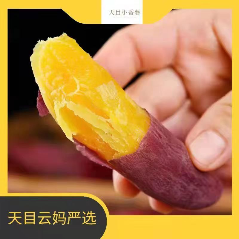 山礼农初【天目云妈 】 临安天目小香薯  黄心 香甜   统果5斤