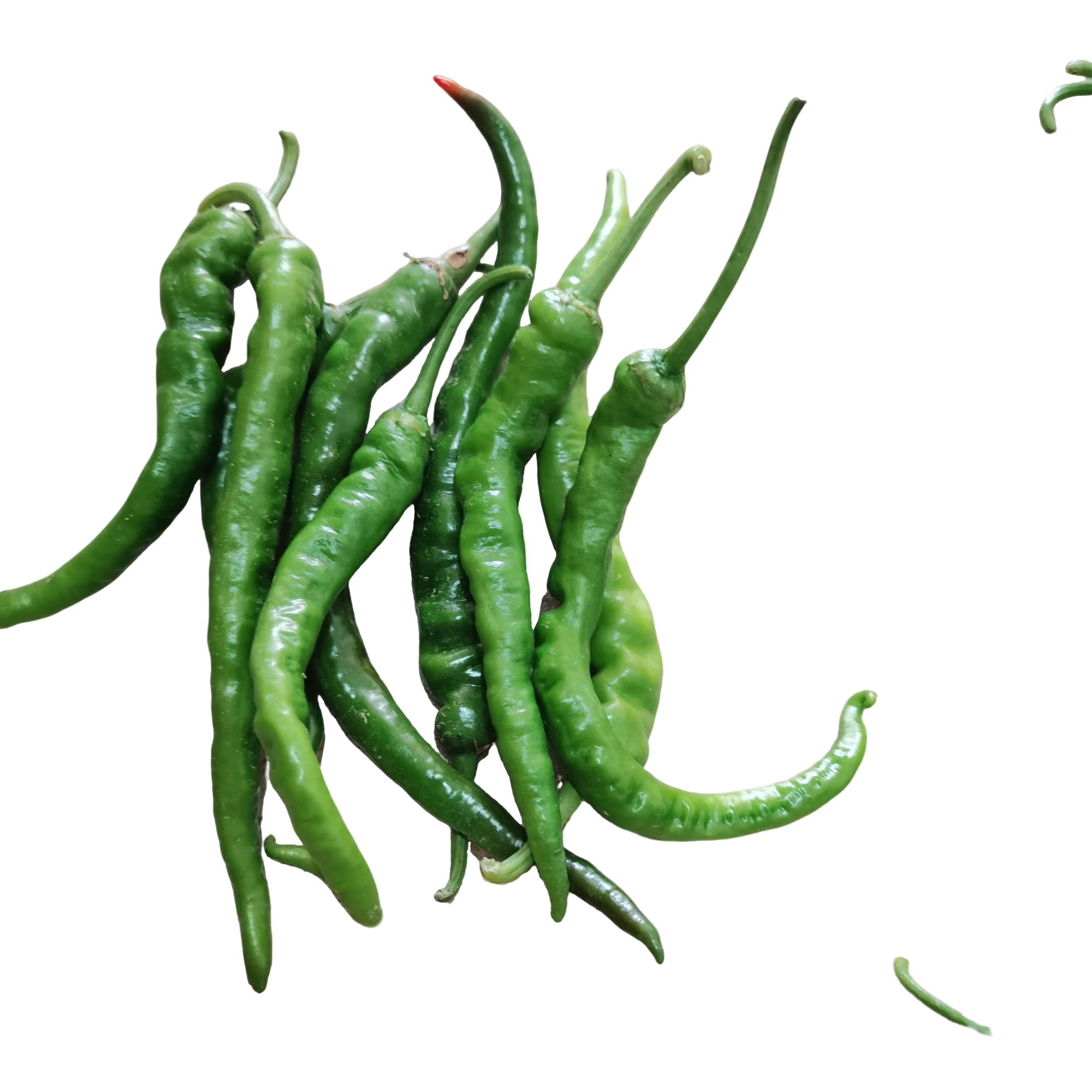 湖南邵东本地新鲜（青辣椒）软香辣皮薄肉厚（顺丰快递）
