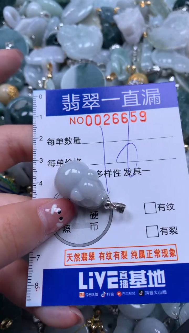 【闪购商品】翡翠颈饰未镶嵌26659配绳子