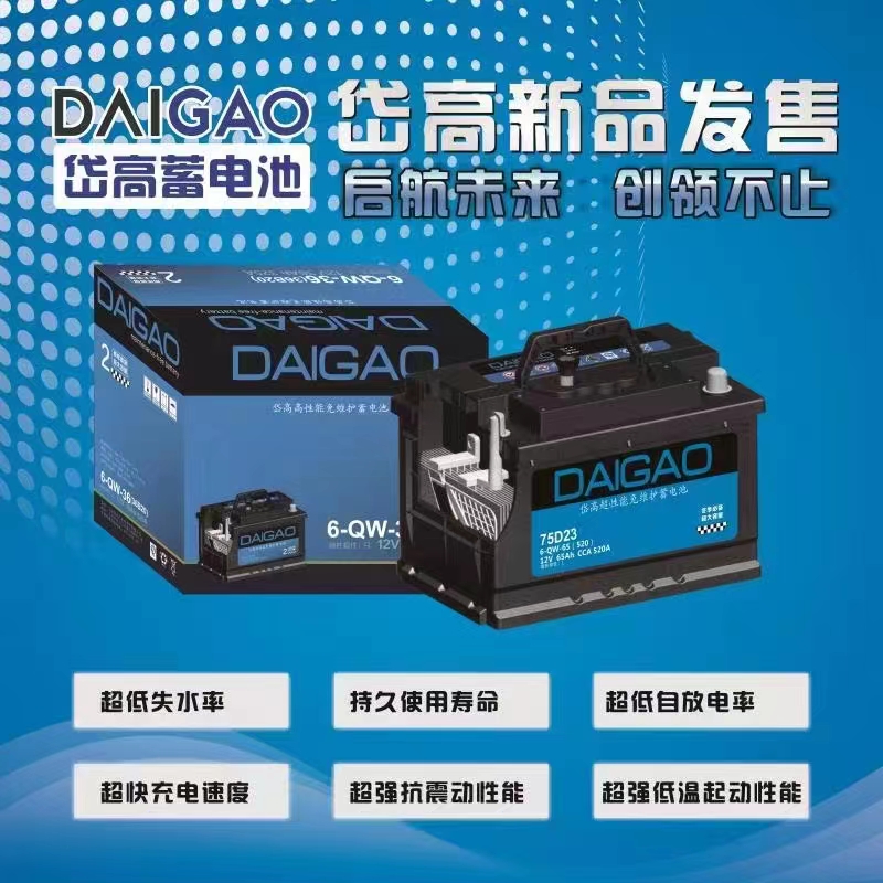 岱高汽车蓄电池电瓶加强型免维护超强启动冬季专用