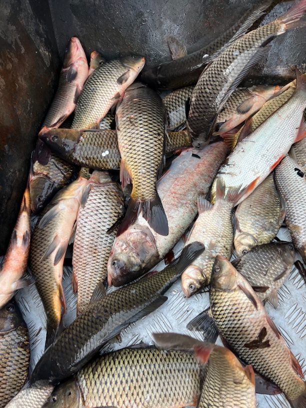 包网专拍链接顺丰快递